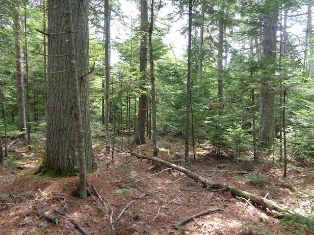 LOT6B Asas Ln, Lamoine, ME 04605