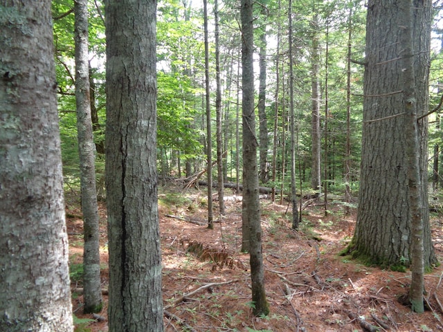 LOT6B Asas Ln, Lamoine, ME 04605