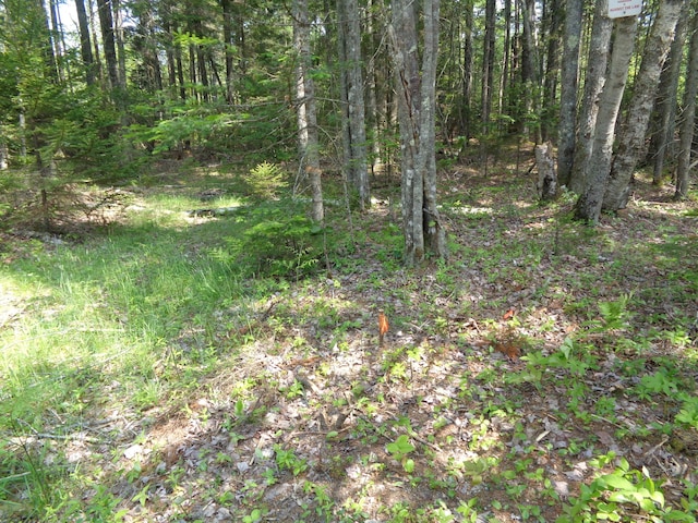 LOT6B Asas Ln, Lamoine, ME 04605