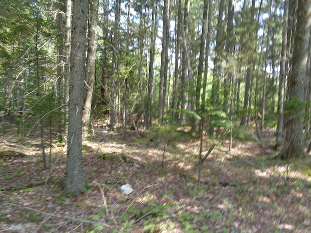 LOT6B Asas Ln, Lamoine, ME 04605