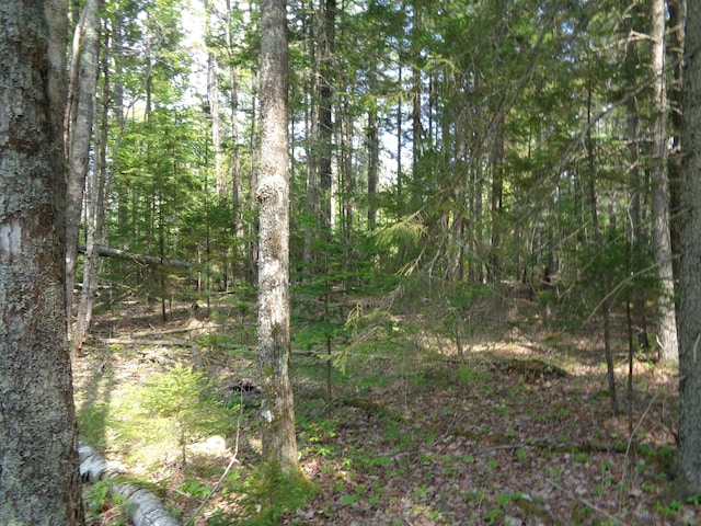 LOT6B Asas Ln, Lamoine, ME 04605