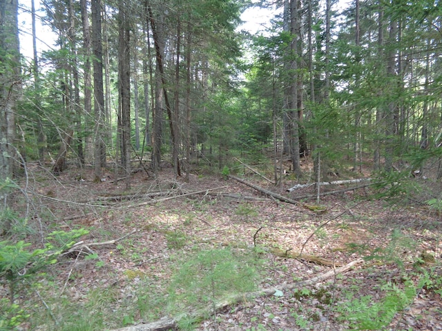 LOT6B Asas Ln, Lamoine, ME 04605