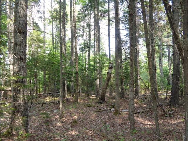 LOT6B Asas Ln, Lamoine, ME 04605