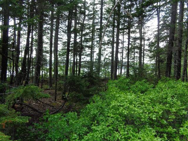 LOT6B Asas Ln, Lamoine, ME 04605