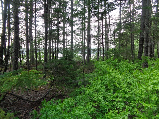 LOT6B Asas Ln, Lamoine, ME 04605