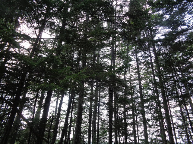 LOT6B Asas Ln, Lamoine, ME 04605