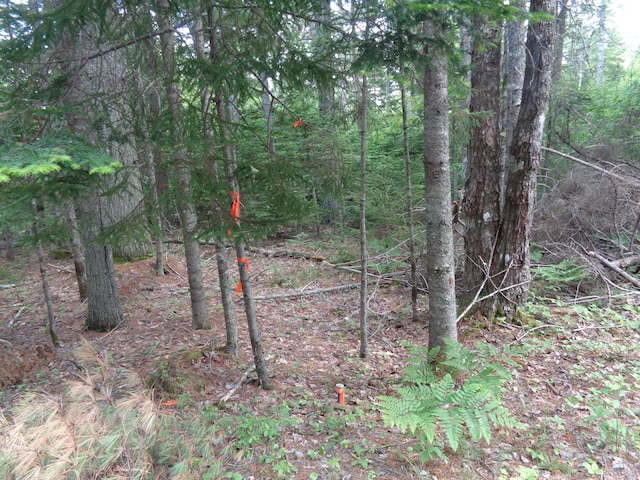 LOT6B Asas Ln, Lamoine, ME 04605