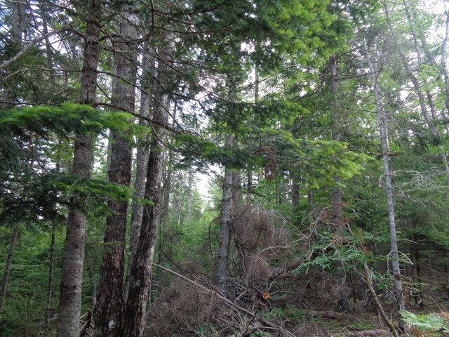 LOT6B Asas Ln, Lamoine, ME 04605