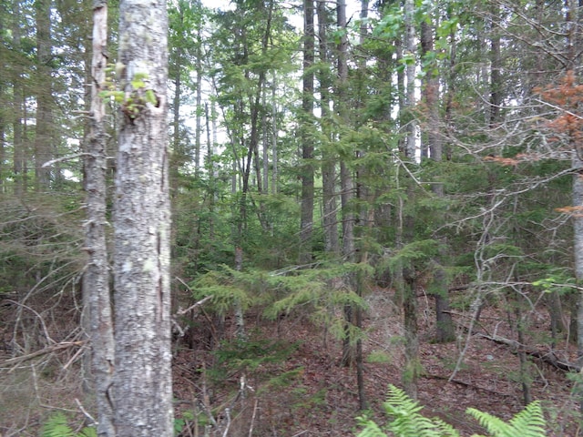 LOT6B Asas Ln, Lamoine, ME 04605