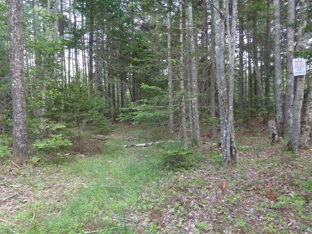 LOT6B Asas Ln, Lamoine, ME 04605