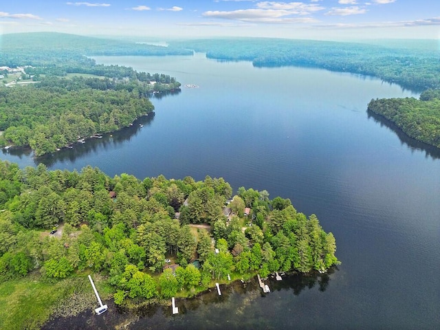 75 Spaulding Point Rd, Belgrade, ME 04917 - bird's eye view of a large body of water