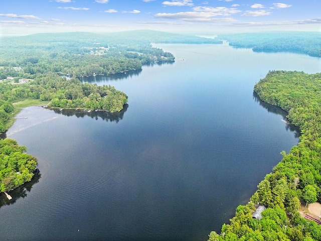 75 Spaulding Point Rd, Belgrade, ME 04917 - aerial view of a large body of water and a forest