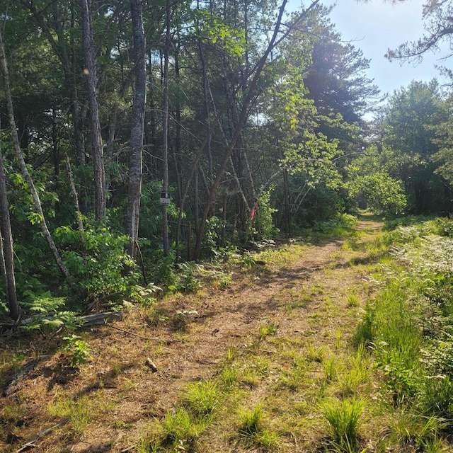 LotA Bean Street, Hollis, ME 04042 - photo 2