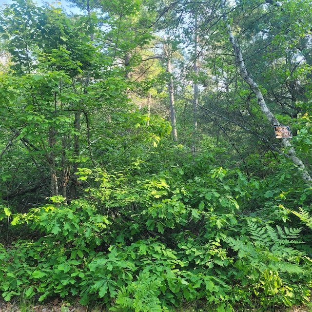 LotA Bean Street, Hollis, ME 04042 - photo 3