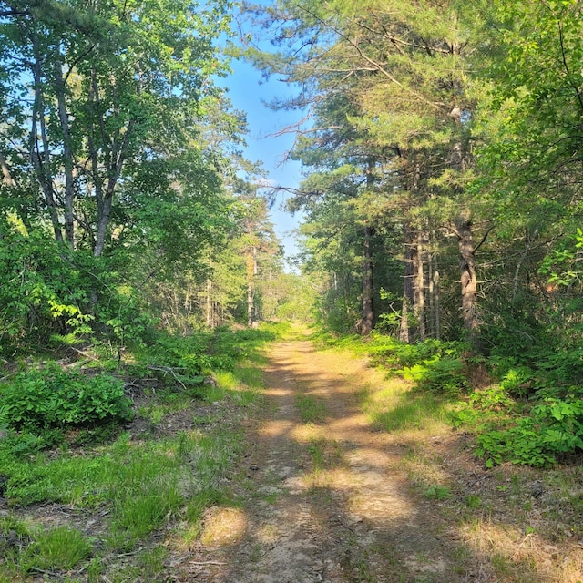 LotA Bean Street, Hollis, ME 04042 - photo 4