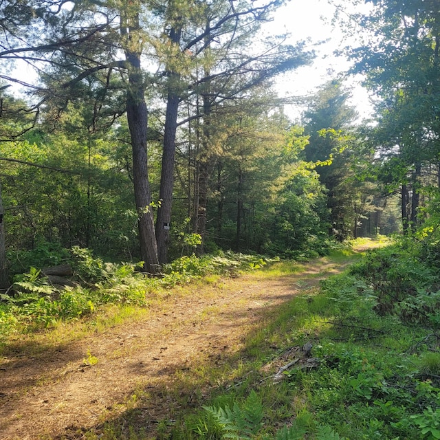 LotA Bean Street, Hollis, ME 04042 - photo 1