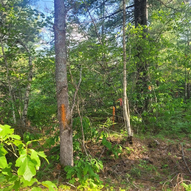 LotA Bean Street, Hollis, ME 04042 - photo 5