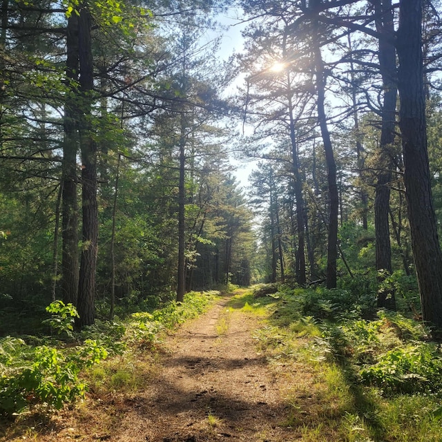 LotA Bean Street, Hollis, ME 04042 - photo 6