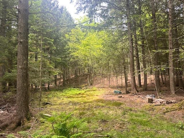 050-C-1 W Waldo Rd, Belfast, ME 04915