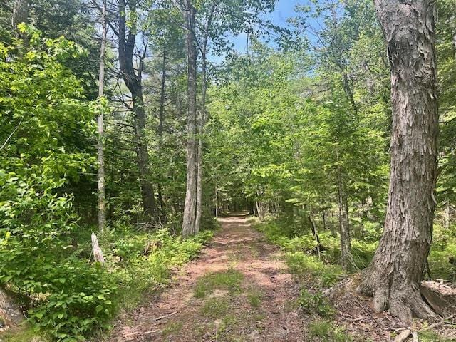 050-C-1 W Waldo Rd, Belfast, ME 04915
