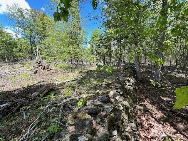 050-C-1 W Waldo Rd, Belfast, ME 04915 - photo 6