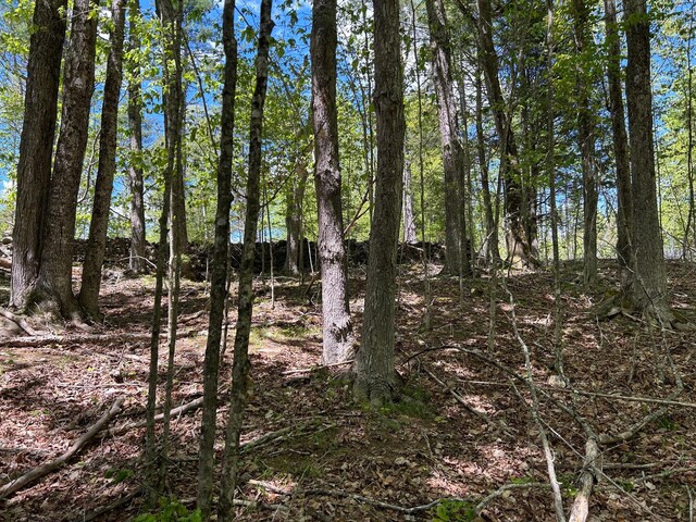 050-C-1 W Waldo Rd, Belfast, ME 04915 - photo 10