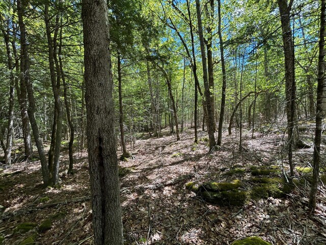 050-C-1 W Waldo Rd, Belfast, ME 04915 - photo 8