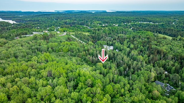 TBD Station Rd, Jonesboro, ME 04648 - photo 1