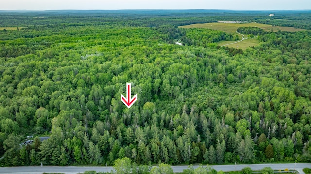 TBD Station Rd, Jonesboro, ME 04648 - photo 3