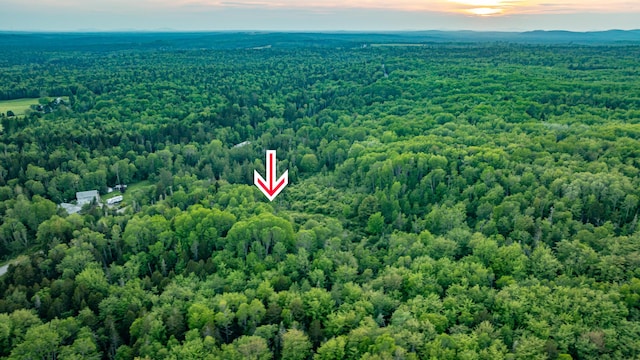 TBD Station Rd, Jonesboro, ME 04648 - photo 6