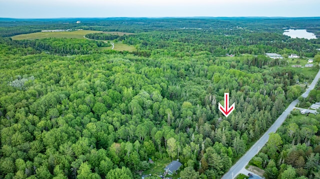 TBD Station Rd, Jonesboro, ME 04648 - photo 8