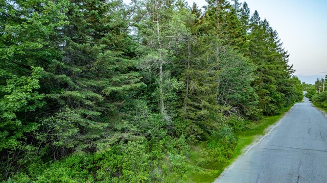 TBD Station Rd, Jonesboro, ME 04648 - photo 11