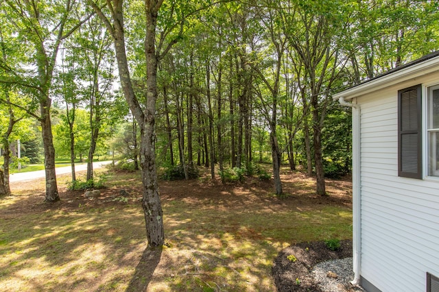 47 Mast Camp Rd, Waterboro, ME 04087 - photo 13