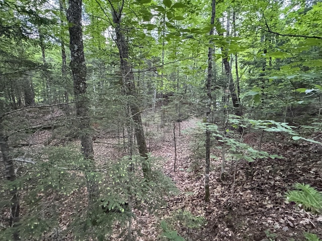 1215 Elliotsville Rd, Elliottsville Twp, ME 04443 - photo 80