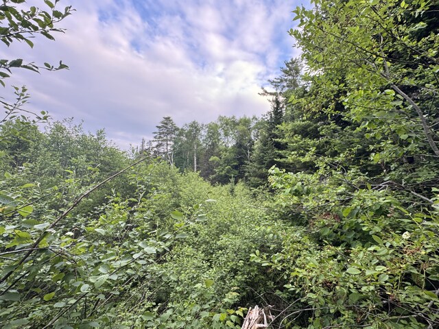 1215 Elliotsville Rd, Elliottsville Twp, ME 04443 - photo 81