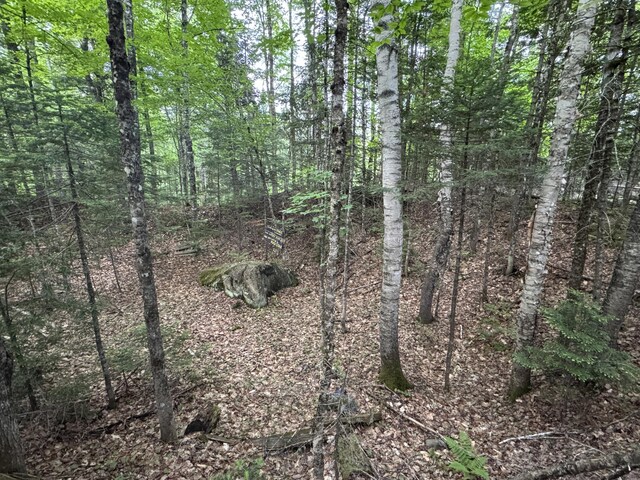 1215 Elliotsville Rd, Elliottsville Twp, ME 04443 - photo 82