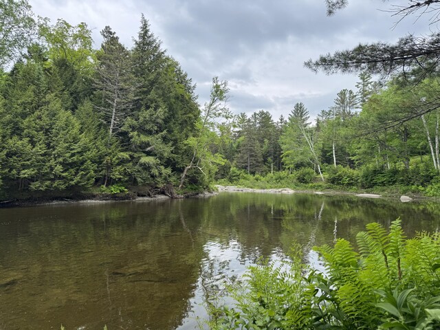 1215 Elliotsville Rd, Elliottsville Twp, ME 04443 - photo 71