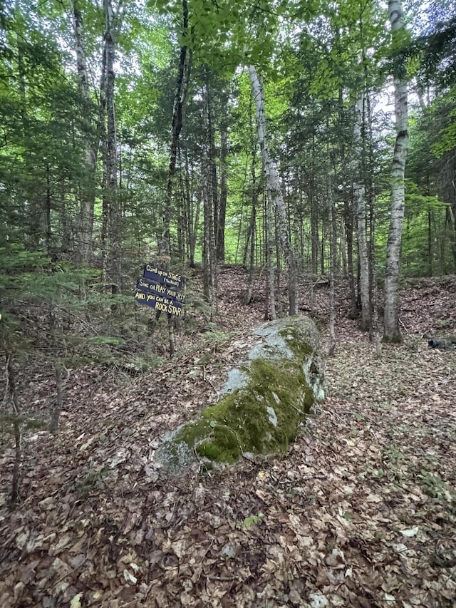 1215 Elliotsville Rd, Elliottsville Twp, ME 04443 - photo 79