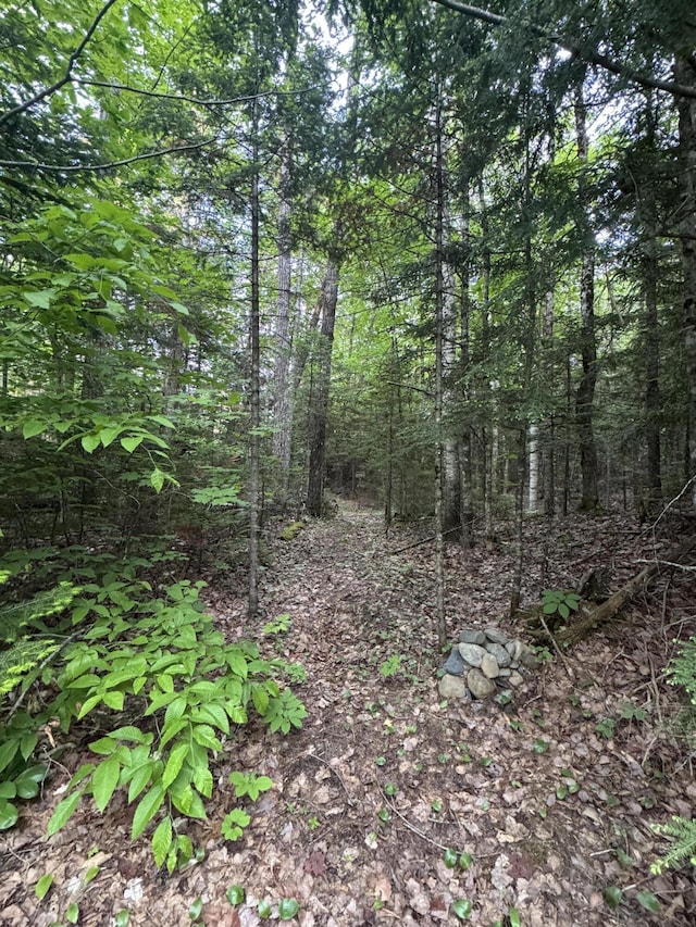 1215 Elliotsville Rd, Elliottsville Twp, ME 04443 - photo 84