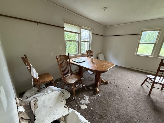 13 Mount Desert Dr, Bangor, ME 04401 - view of carpeted dining room