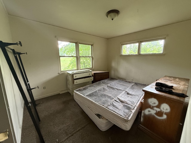 13 Mount Desert Dr, Bangor, ME 04401 - bedroom with dark colored carpet