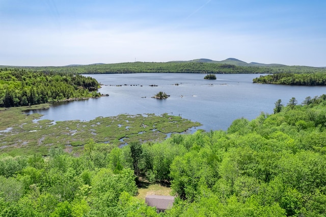 627 Green Lake Rd, Dedham, ME 04429 - water view featuring a heavily wooded area