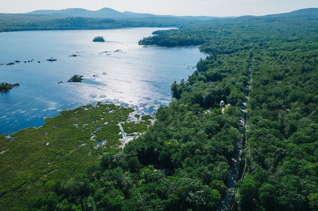 627 Green Lake Rd, Dedham, ME 04429 - water view with a mountain backdrop