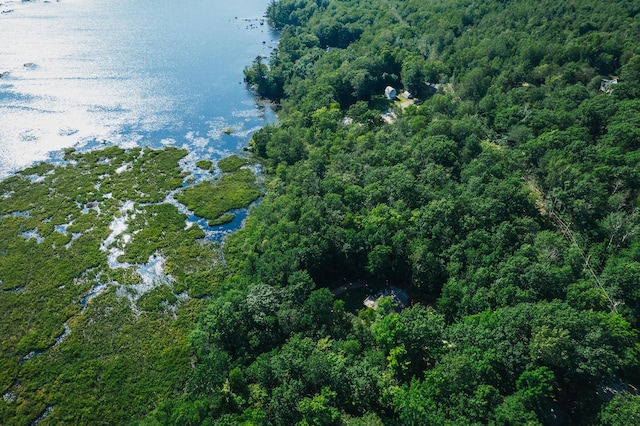 627 Green Lake Rd, Dedham, ME 04429 - aerial view of property's location featuring a heavily wooded area and a large body of water
