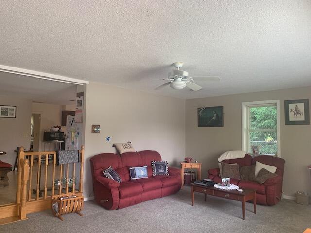 48 13th St, Bangor, ME 04401 - carpeted living area featuring ceiling fan and a textured ceiling