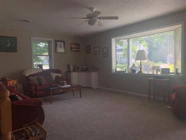 48 13th St, Bangor, ME 04401 - living area featuring ceiling fan and carpet flooring