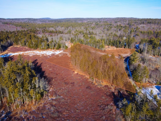 00 Jim Grant Rd, Lebanon, ME 04027