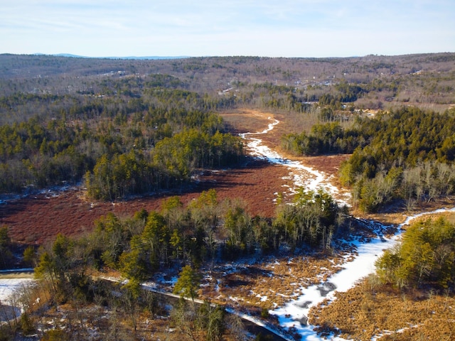 00 Jim Grant Rd, Lebanon, ME 04027