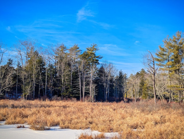 00 Jim Grant Rd, Lebanon, ME 04027