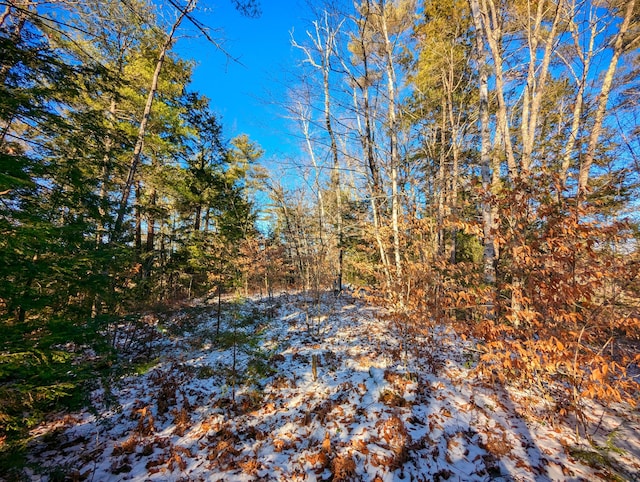 00 Jim Grant Rd, Lebanon, ME 04027